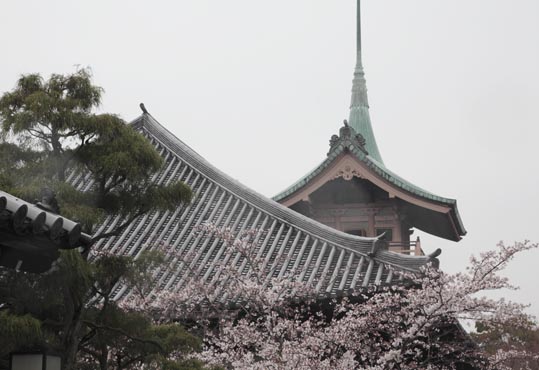 kyoto042
