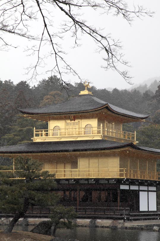 kinkakuji048