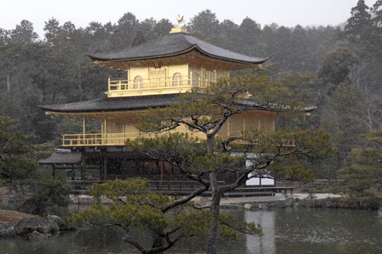 kinkakuji049