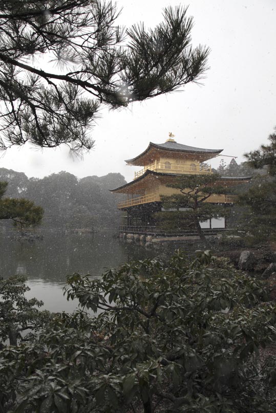 kinkakuji052