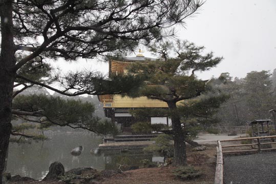 kinkakuji054