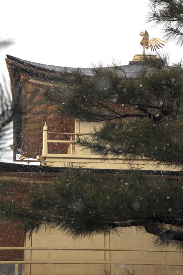 kinkakuji057