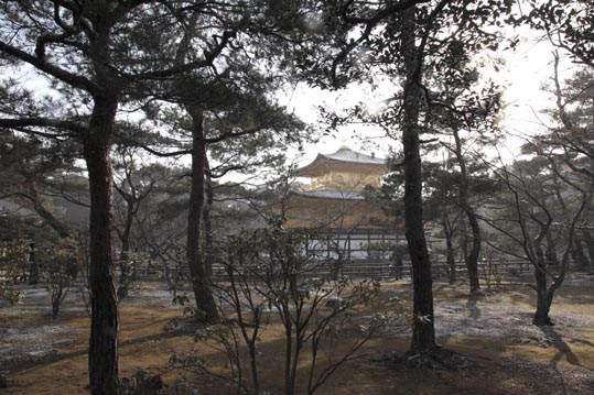 kinkakuji080