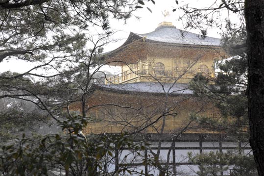 kinkakuji081