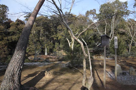 kinkakuji082