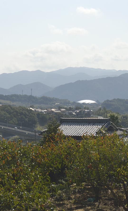 2012akinokouyasan003