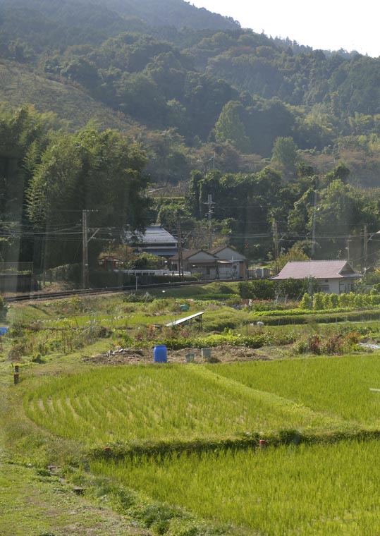 2012akinokouyasan021