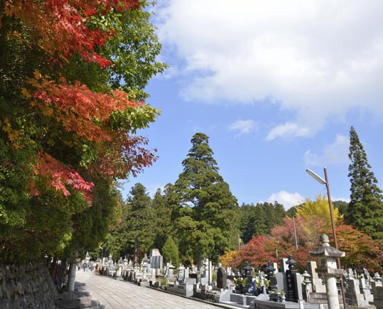 2012akinokouyasan061