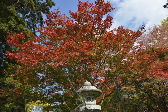 2012akinokouyasan064