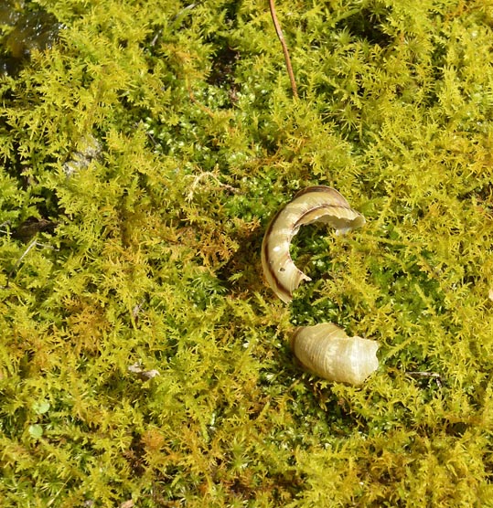 2012akinokouyasan066