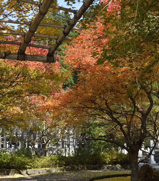 2012akinokouyasan091