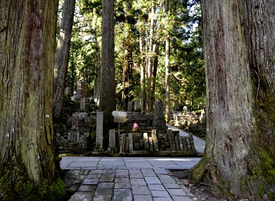 2012akinokouyasan096