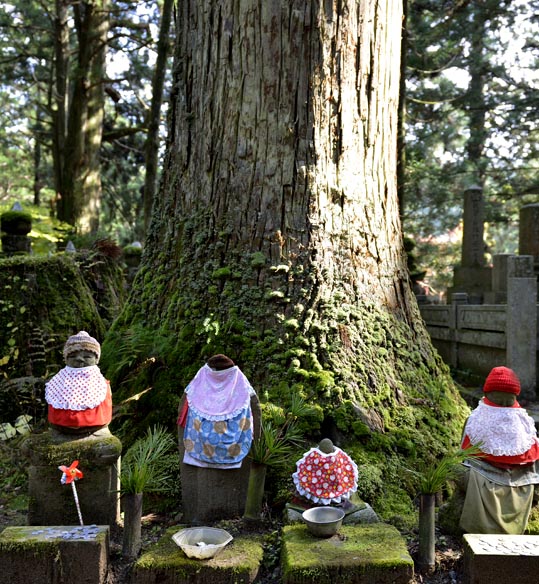 2012akinokouyasan098