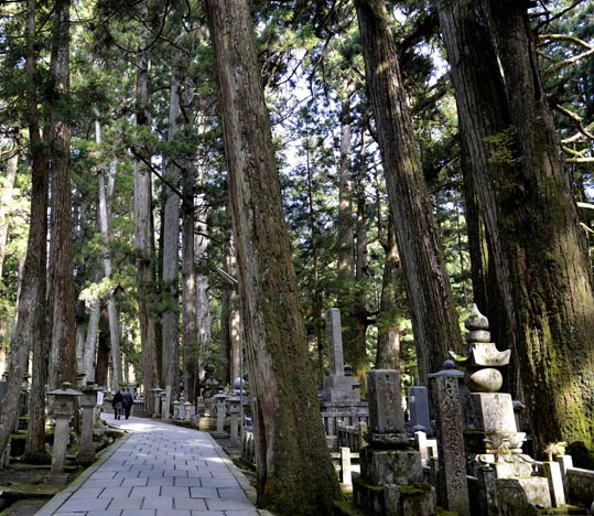 2012akinokouyasan100