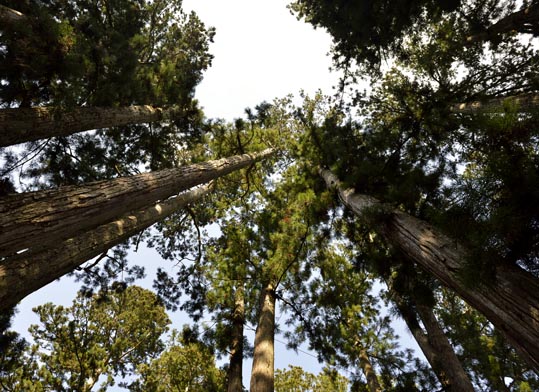 2012akinokouyasan103