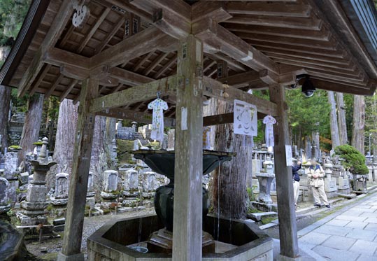 2012akinokouyasan113