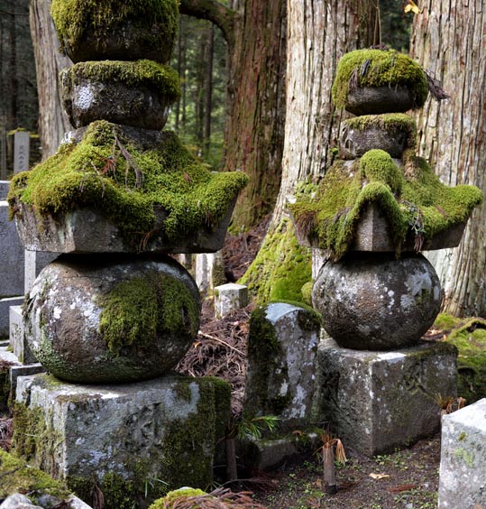 2012akinokouyasan116