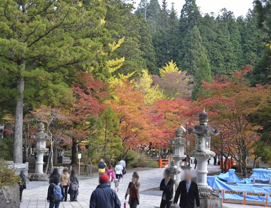 2012akinokouyasan120