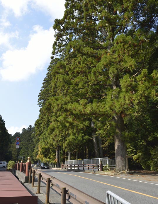 2012akinokouyasan124