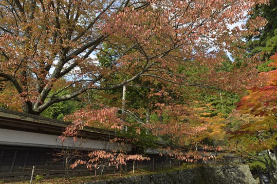 2012akinokouyasan135