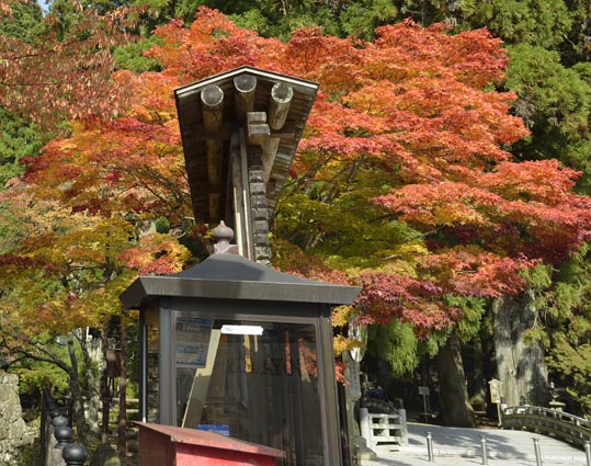 2012akinokouyasan137