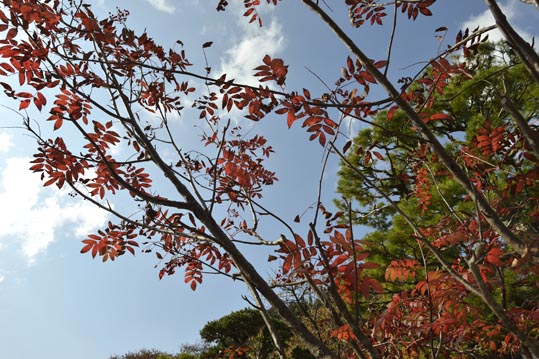 2012akinokouyasan142