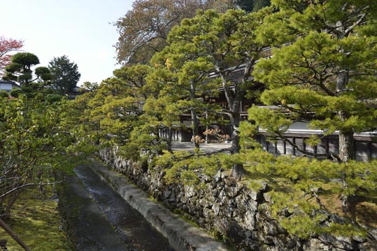 2012akinokouyasan143