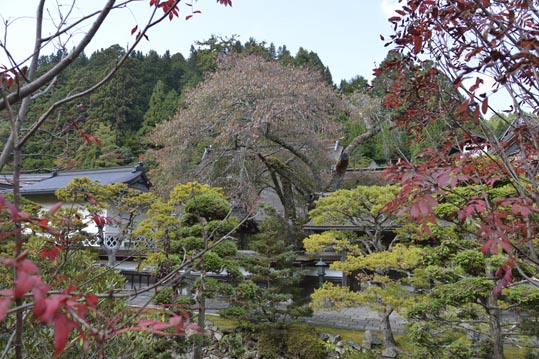 2012akinokouyasan144