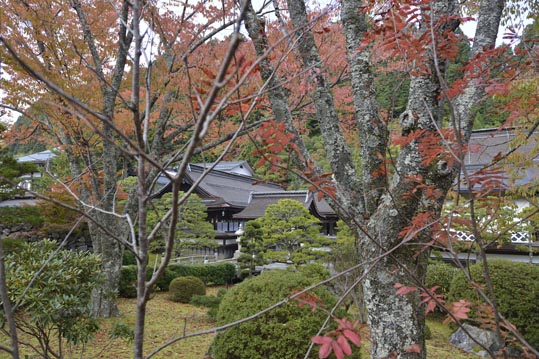 2012akinokouyasan147