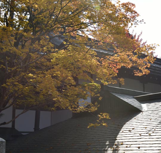 2012akinokouyasan160