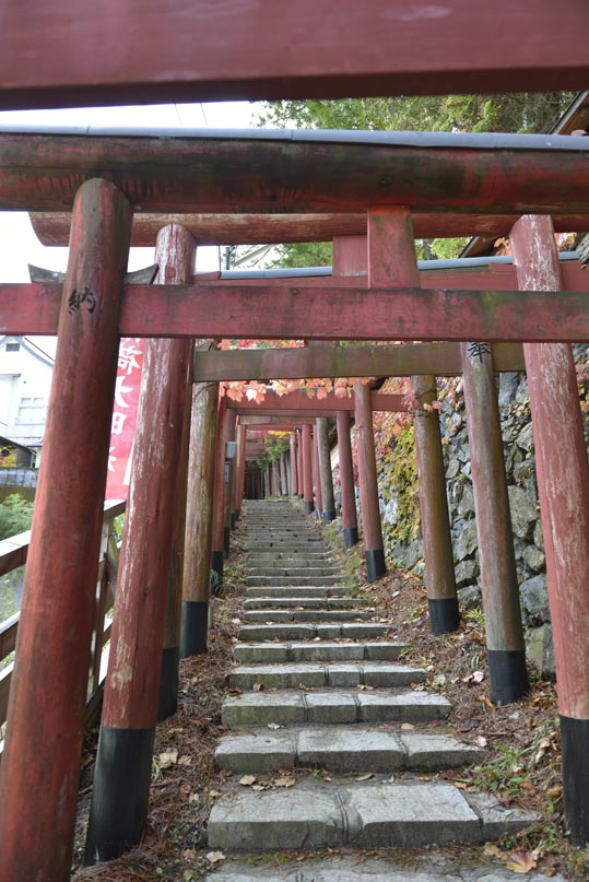 2012akinokouyasan171