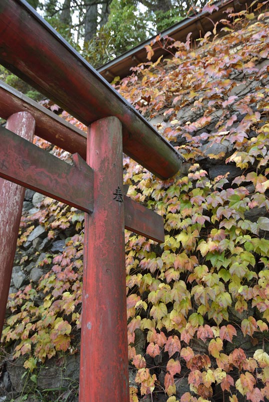 2012akinokouyasan172