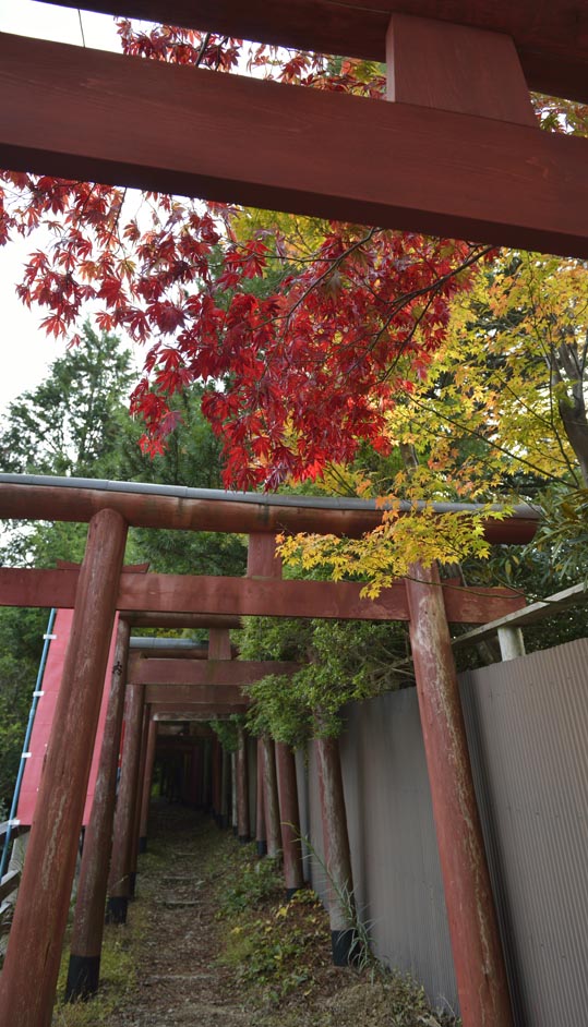 2012akinokouyasan179