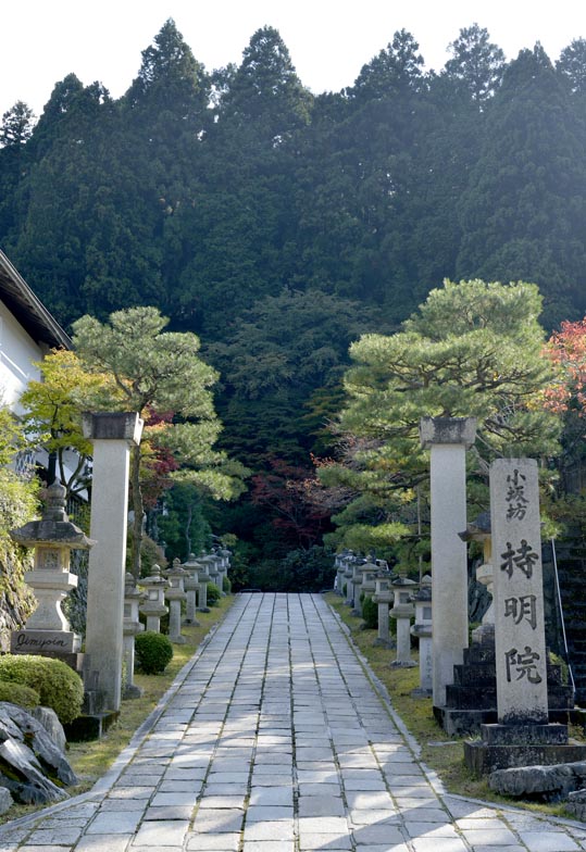 2012akinokouyasan199