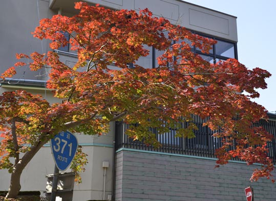 2012akinokouyasan206