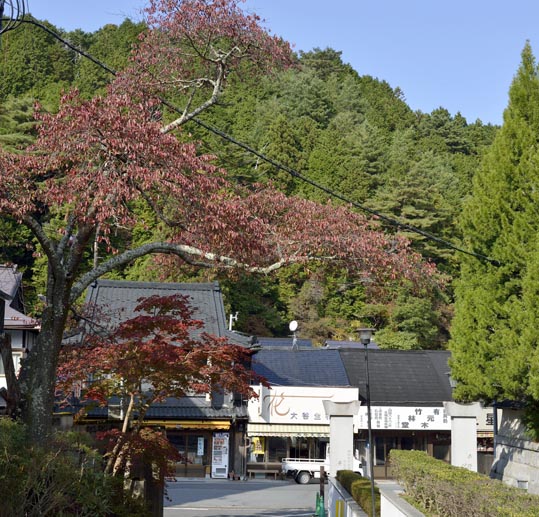 2012akinokouyasan211