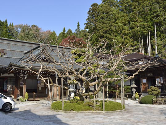 2012akinokouyasan217