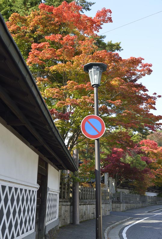 2012akinokouyasan229