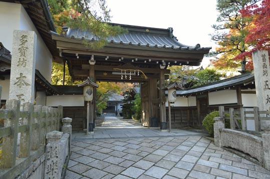 2012akinokouyasan232