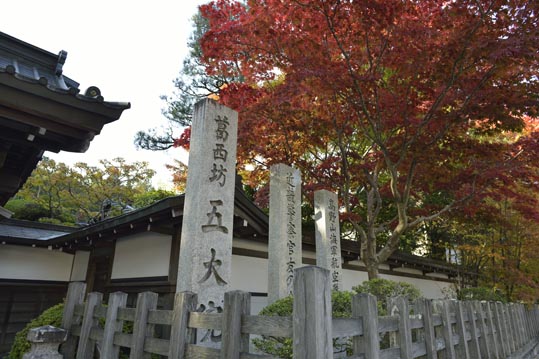 2012akinokouyasan233