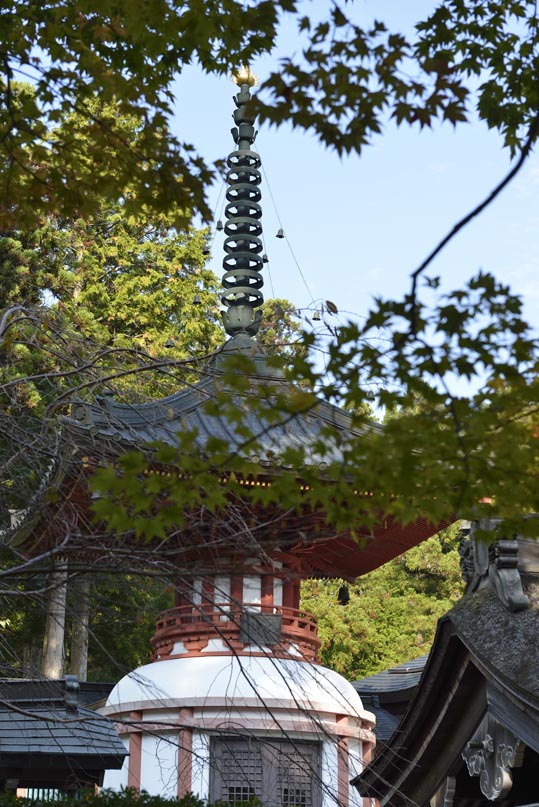 2012akinokouyasan253