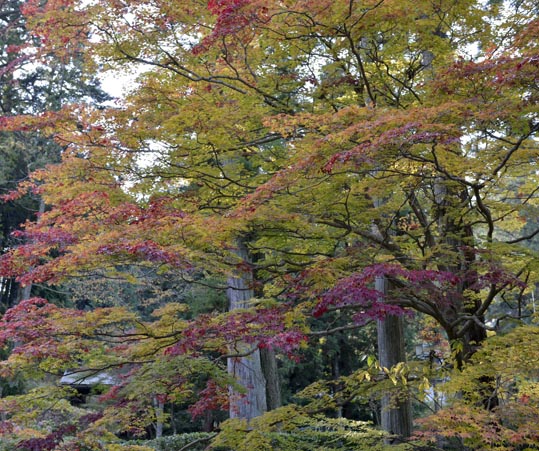 2012akinokouyasan255