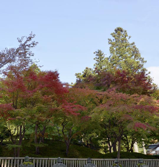 2012akinokouyasan256