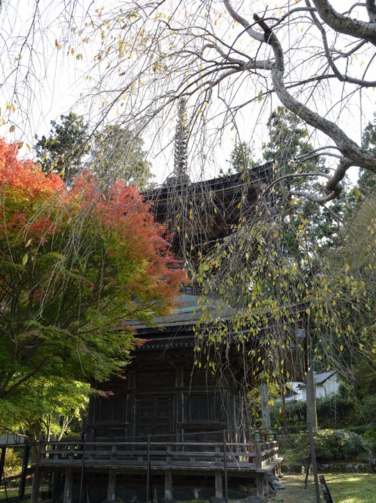 2012akinokouyasan261