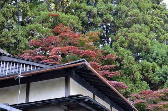 2012akinokouyasan266