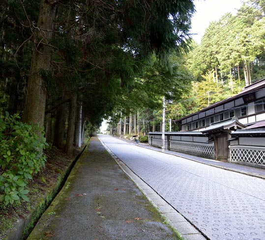 2012akinokouyasan275