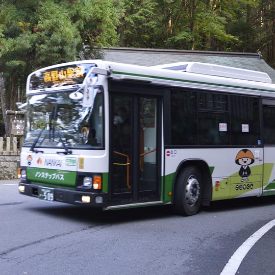 2012akinokouyasan280