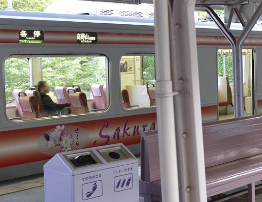 2012akinokouyasan298