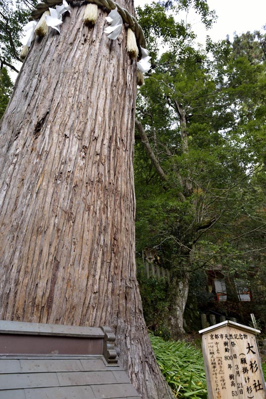 2012kuramaderakifune066