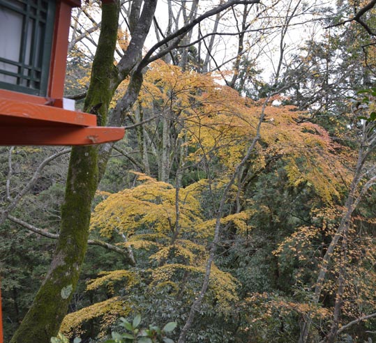 2012kuramaderakifune102